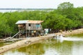 Shrimp Farm On Ecuadorian Coastline