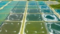 The Shrimp farming in Philippines.