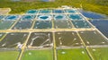 The Shrimp farming in Philippines.