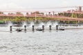 Shrimp Farms covered with nets