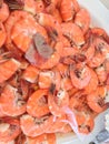 Shrimp Feast Royalty Free Stock Photo