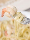 Shrimp Fettuccine