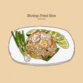 Shrimp fired rice, hand draw sketch vector