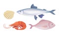 Shrimp and Fish as Seafood and Marine Delicacy Vector Set