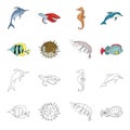 Shrimp, fish, hedgehog and other species.Sea animals set collection icons in cartoon,outline style vector symbol stock Royalty Free Stock Photo
