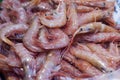 Shrimp in fish market Royalty Free Stock Photo