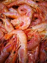 Shrimp in fish market Royalty Free Stock Photo