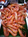 Shrimp in fish market Royalty Free Stock Photo