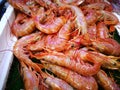 Shrimp in fish market Royalty Free Stock Photo