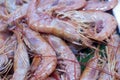 Shrimp in fish market Royalty Free Stock Photo