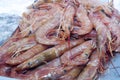 Shrimp in fish market Royalty Free Stock Photo