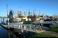 Shrimp and Fishing fleet at dock Royalty Free Stock Photo