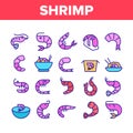 Shrimp Food Collection Elements Icons Set Vector