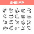 Shrimp Food Collection Elements Icons Set Vector