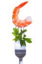 Shrimp on fork Royalty Free Stock Photo