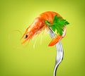 Shrimp. Fresh Prawn on a fork rotated on Green Background. Seafood, preparing healthy gourmet food