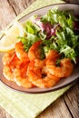 Shrimp fried in soy sauce and fresh salad close-up. vertical Royalty Free Stock Photo