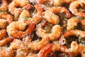 Shrimp in garlic sauce with parmesan cheese and parsley macro. B Royalty Free Stock Photo