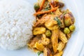 Shrimp green curry fried with rice Royalty Free Stock Photo