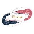 Shrimp hand drawn logo isolated on white background. Vector illustration for print, fish market label, infographics, food