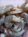 Shrimp head cleaned, ready to cook