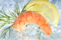 Shrimp on ice with lemon Royalty Free Stock Photo