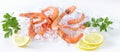 Shrimp on the ice with lemon Royalty Free Stock Photo