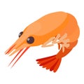 Shrimp icon, isometric 3d style