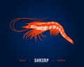 Vector shrimp flat style illustration