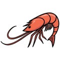 Shrimp Icon