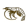 Shrimp illustration design with stylish outline