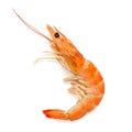 Shrimp isolated on a white background. Cooked Tiger prawn. Top view, flat lay Royalty Free Stock Photo