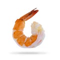 Shrimp isolated on white background ,include clipping path Royalty Free Stock Photo