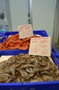 Shrimp and langoustines for sale at Cadiz fish Market Royalty Free Stock Photo
