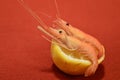 Shrimp and lemon Royalty Free Stock Photo