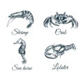 Shrimp, lobster, crab, sea horse sketch vector illustration.