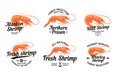 Shrimp logo and shrimp illustrations