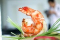 Shrimp in padthai Royalty Free Stock Photo