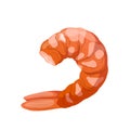 shrimp peeled cartoon vector illustration