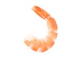 Shrimp peeled, prawn cooked isolated on a white background with clipping path. Full depth of field Royalty Free Stock Photo