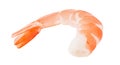 Shrimp peeled, prawn cooked isolated on a white background with clipping path. Full depth of field. Element of packaging design Royalty Free Stock Photo