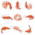 Shrimp prawn cooked icons set, cartoon style