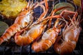 Shrimp,prawn grilled on barbecue stove with lemon and pineapples Royalty Free Stock Photo