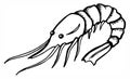 Shrimp, prawn, seafood, hand draw sketch, drawing, red color, black and white color