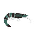 Shrimp Prawn Vector and Icon for Logo and App Silhouette Royalty Free Stock Photo