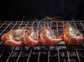 Shrimp ,prawns grilled on barbecue fire stove Royalty Free Stock Photo
