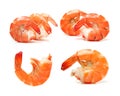 Shrimp Prepared Shrimp Prawn Isolated Seafood Cooked Jumbo Shrimp Royalty Free Stock Photo