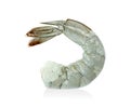 Shrimp raw isolated on white background ,include clipping path Royalty Free Stock Photo