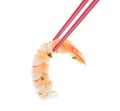 Shrimp in Red Chopsticks Royalty Free Stock Photo