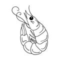 The shrimp is rolled up. Seafood, plankton, krill. Outline sketch food illustration drawn by hand, isolated on a white background